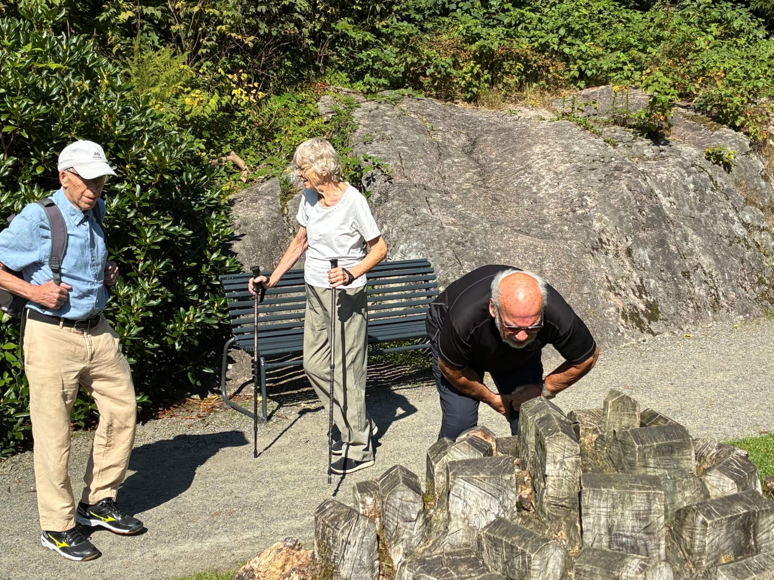 Hva ønsker medlemmene våre av foreninga