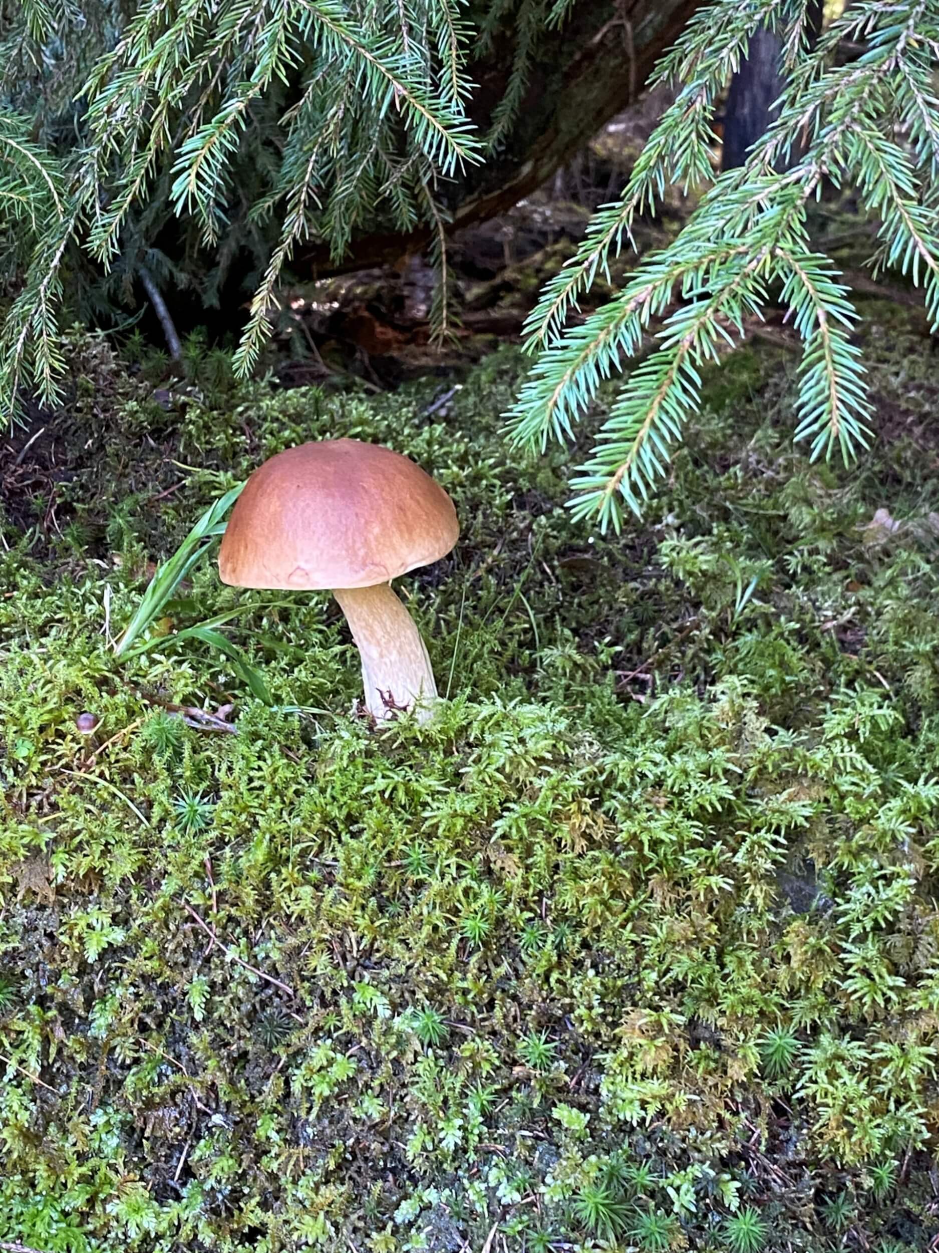 Vandringstur i Gregershølet onsdag 24. september